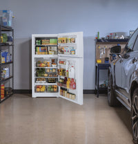GE 21.9 cu. ft. Top-Freezer Refrigerator, White, Adjustable Shelves + LED Lighting (GTS22KGNRWW)